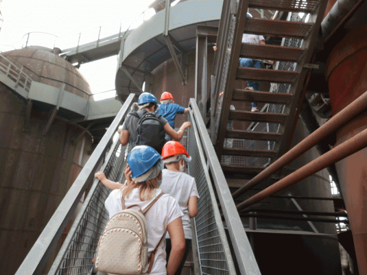 Aufstieg zur Aussichtsplattform II