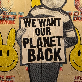 Benjamin Irritant Hase Einzeln Mh