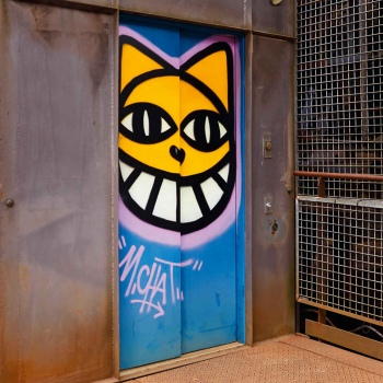 M.Chat