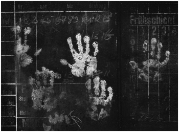 preview Dieter Walter Kreide Handabdruecke auf Schichttafel