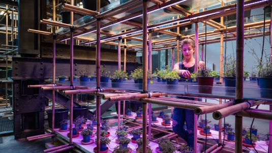 Plant Factory mit Eisentraeger Voelklinger Huette