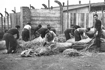 Zwangsarbeiter bereiten Strohmatratzen vor