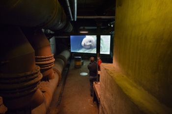 The World of Video Music- Neuer Ausstellungsraum im Keller der Gebläsehalle