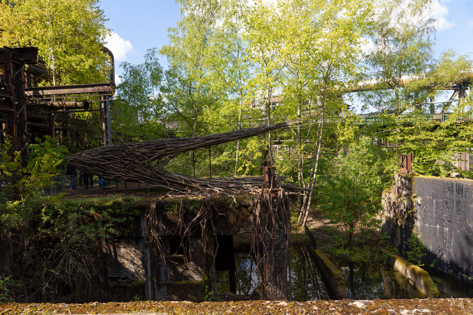 Regenera“, ein Pflanzenwesen zusammengesetzt aus unzähligen Ästen, ein Werk von Benjamin Duquenne