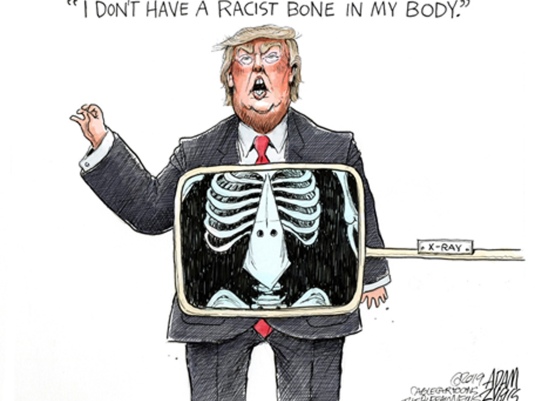 Adam Zyglis Racist bone
