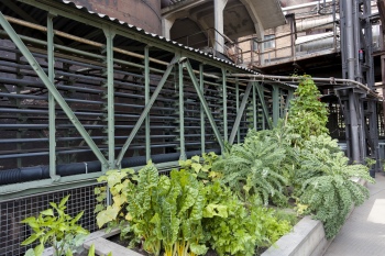 FUTURE LAB | Hüttengarten II Gemüsebeete im Eisenwerk