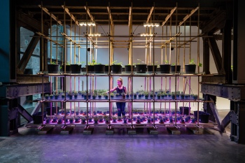 Future Lab Plant Factory I