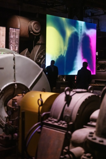 preview WKE X Ray 127555