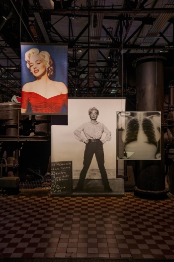preview X Ray Geschlechterrollen Koerperbilder Marilyn Monroe 13