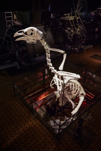 preview X RAY Ausstellungsansicht Andreas Greiner MONUMENT FOR THE 308 19